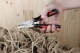 Multifunktionswerkzeug Multitool DBST mit großer Schere