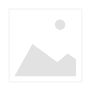 Oest 2-Takt-Motoröl SUPER 2T für Kleinmotoren